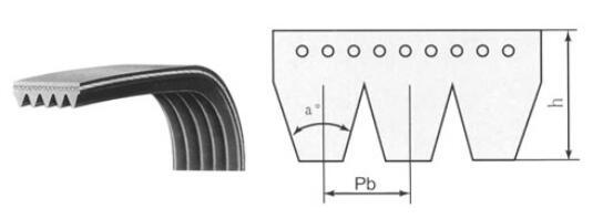 Pk Belt, Multi V Belt, Poly V Belt, Serpentine Belt