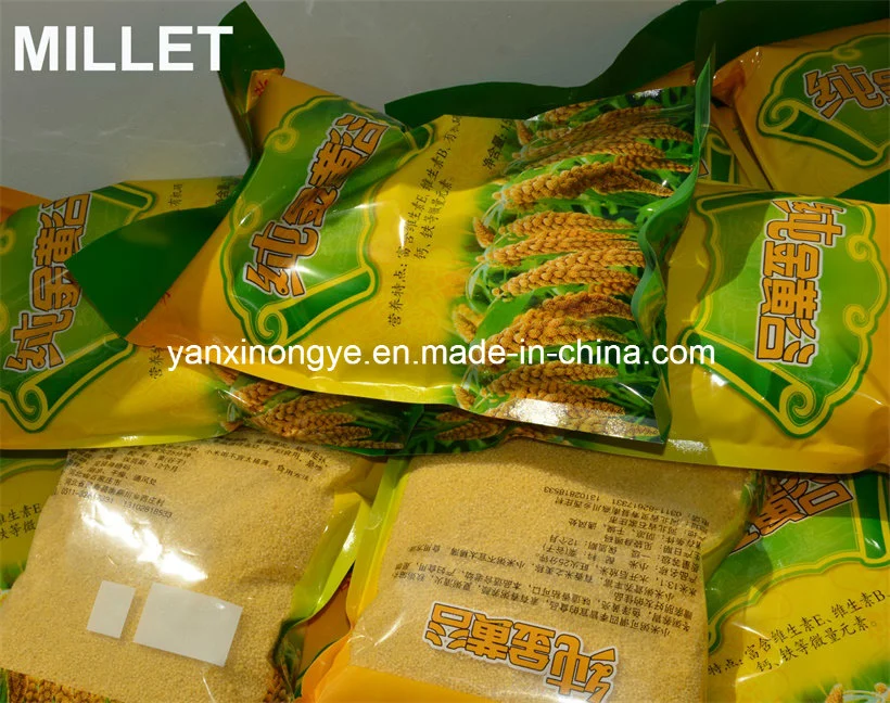 High-Quality Yellow Hulled Millet Healthy Food Organic Selenium Millet