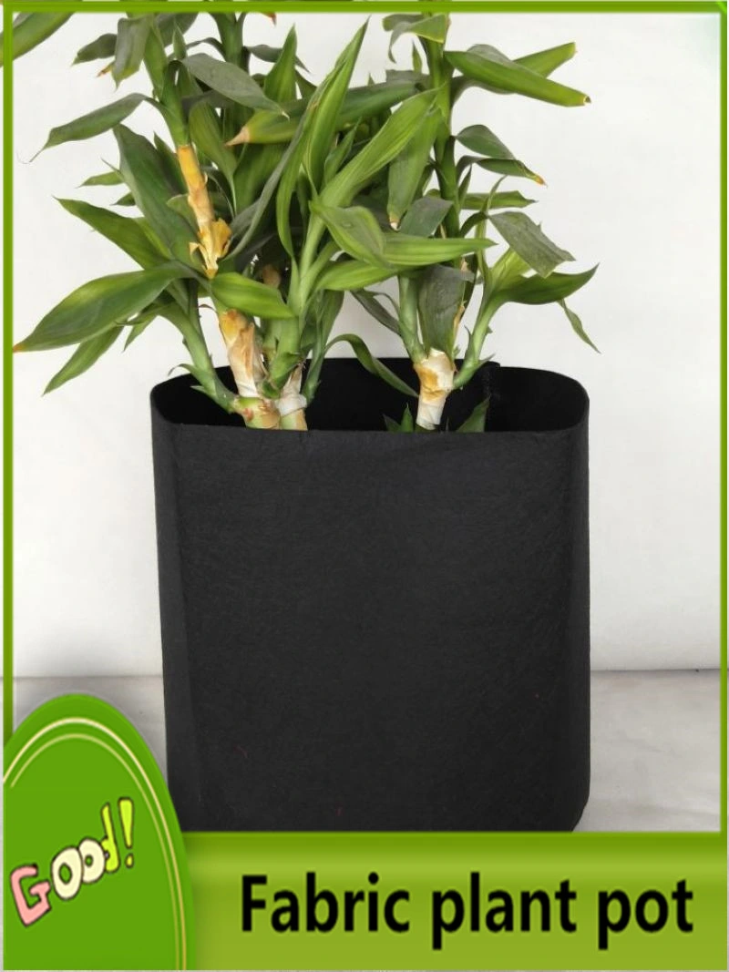 2mm Thickness Fabric Grow Bag/Smart Pot/Flower Pot/ Plant Pot