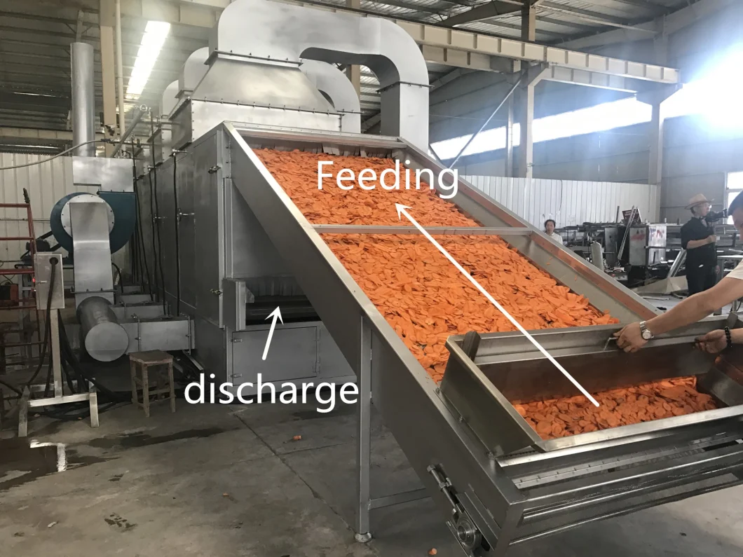 Automatic Sweet Potato Roast Machine with 500kg/H