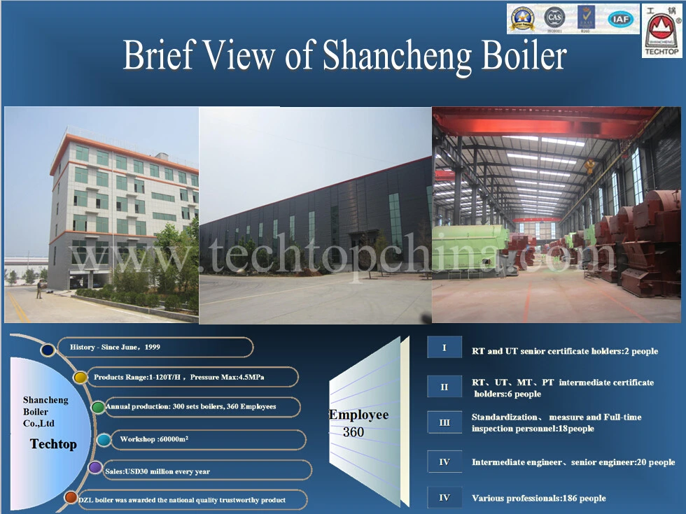 Steam Boiler for Steam Box, Steam Chamber and Steam Cracking