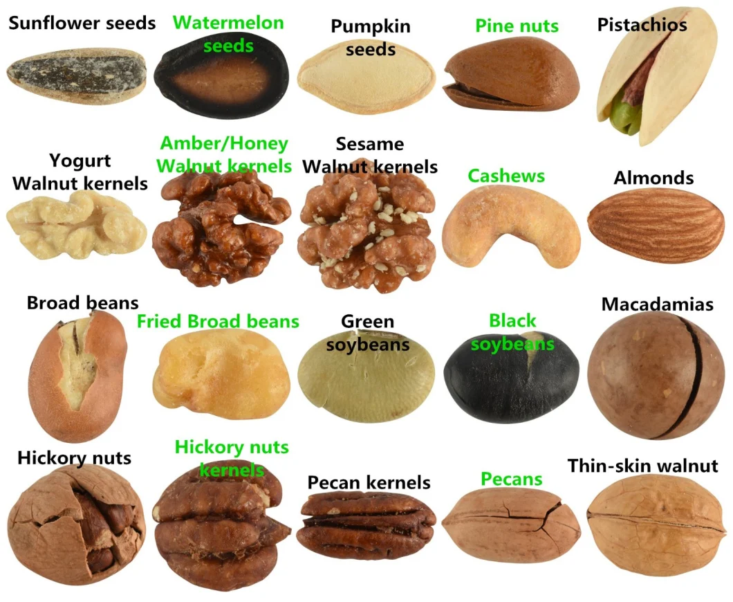Healthy Snacks New Crop Nutrition Nuts Spiced Flavor Roasted Poach Sunflower Seeds