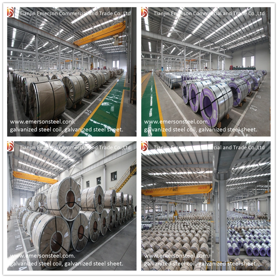 Hot Cold Rolled Steel Sheets Coils SPCC DC01 DC04 St12 CRC Steel Sheet in Coil