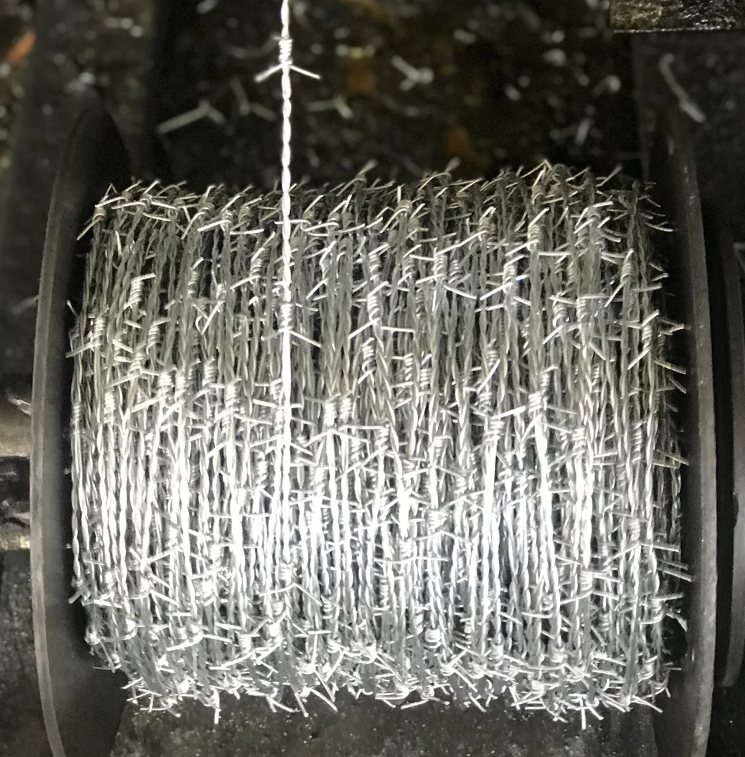 2.5mm *2.5mm H. D. G Double Twisted Barbed Wire for Fence
