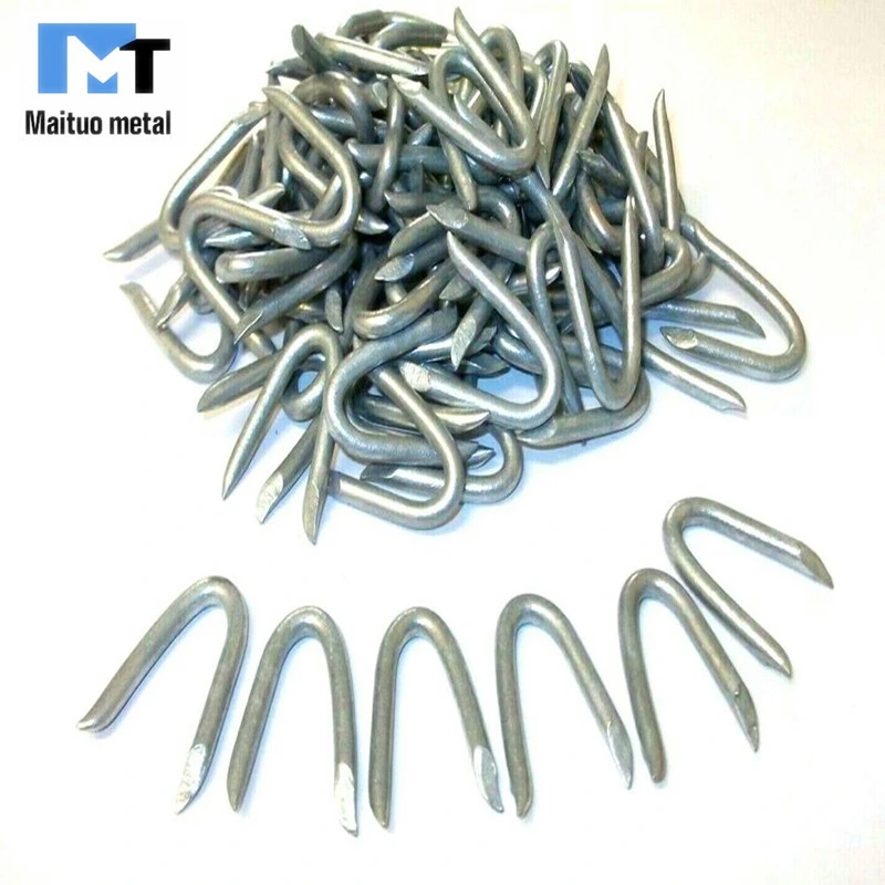 Barbed Wire for Farm Fence Sheep Fence/Cattle Fence U Nail/U Staple