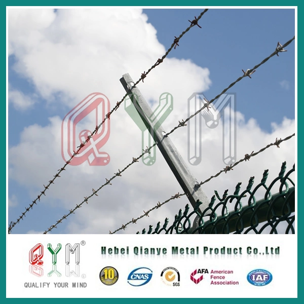 Low Cost Galvanized Barbed Wire/ Double Twist Iron Barbed Wire