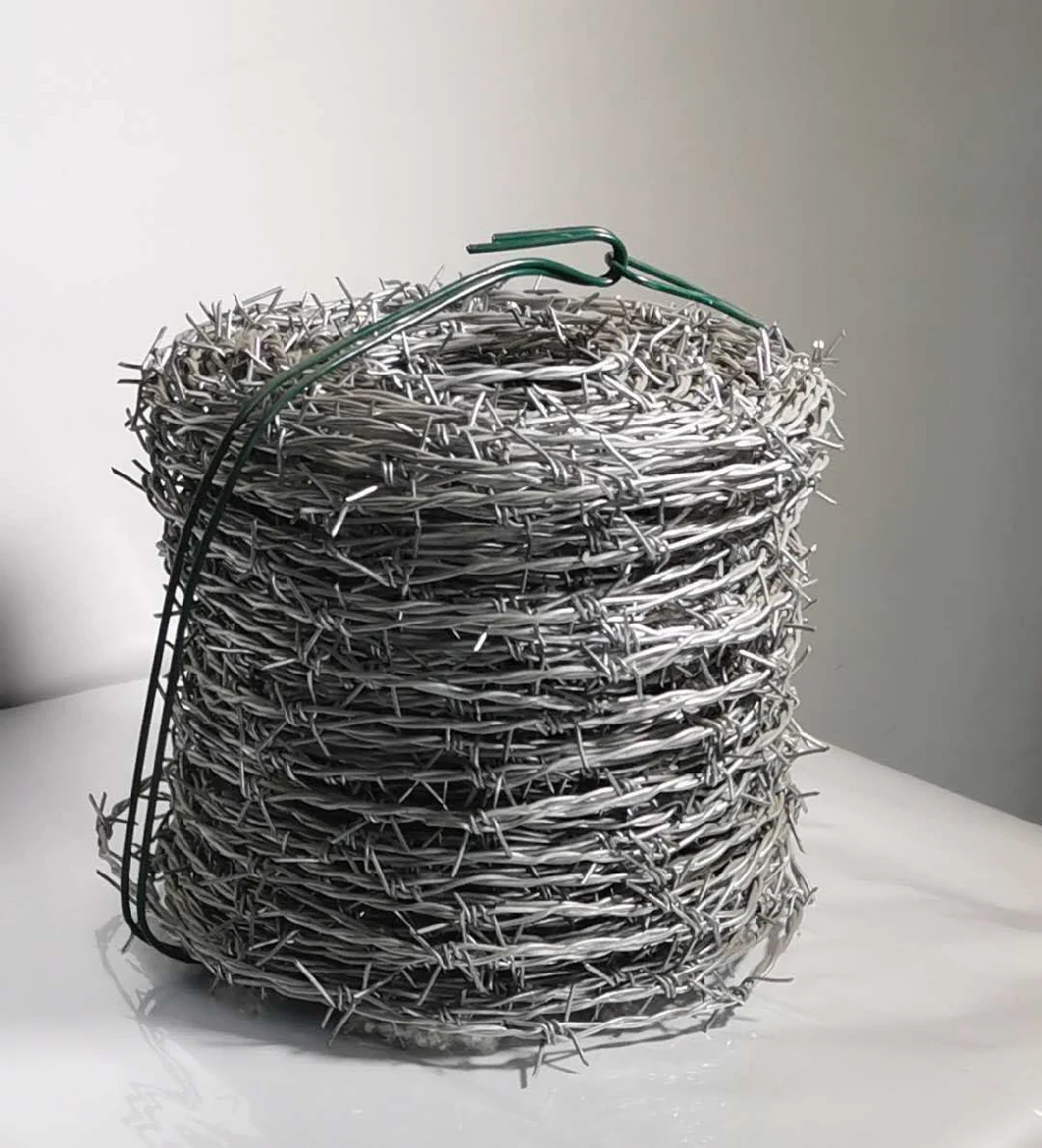 Hot Dipped Galvanized/Electro Galvanized Barbed Wire