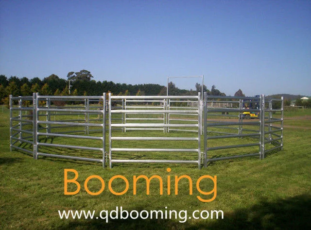 New Zealand Market Hot DIP Galvanized Cattle Fence Panels