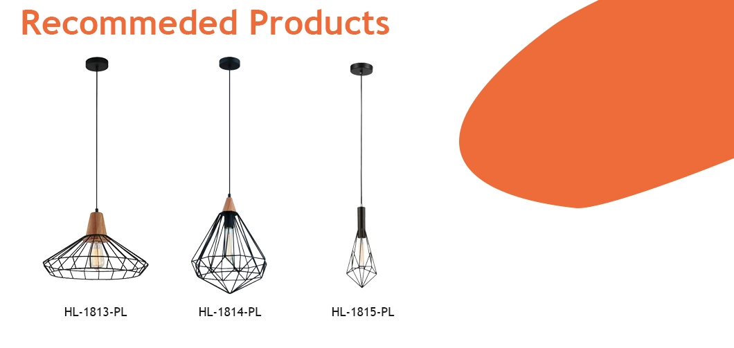 1 Light E27 Black Wire Shade Pendant Lamp (HL-1821-PL)