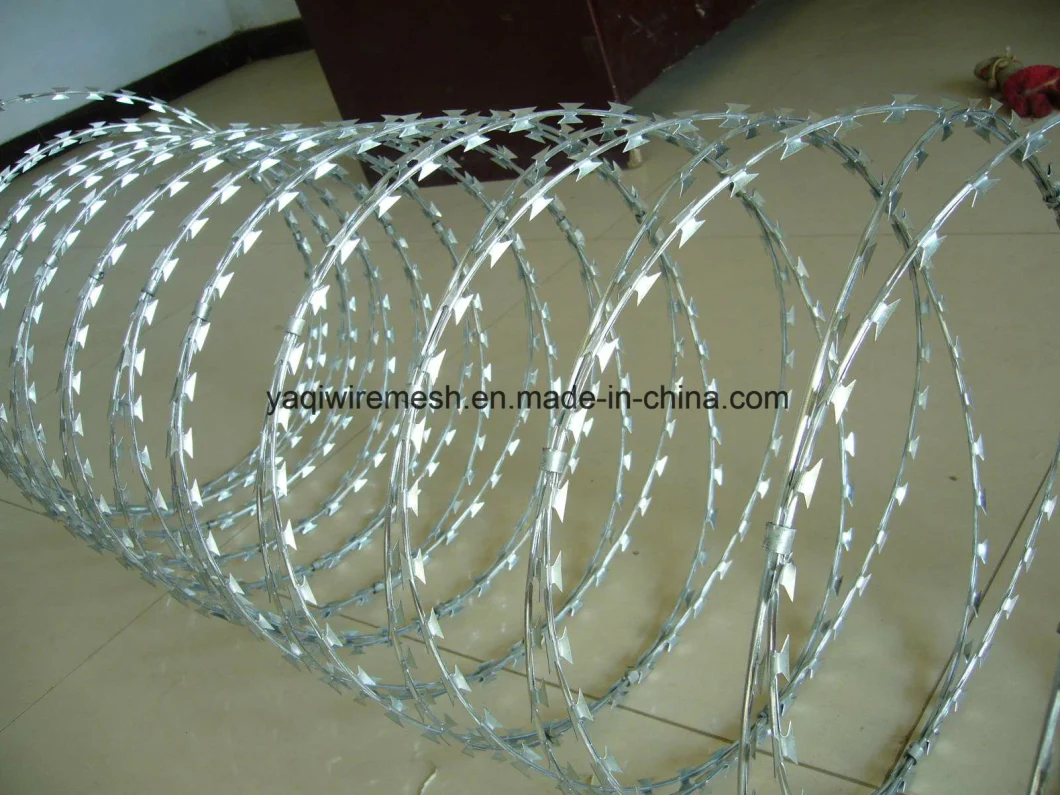 China Supplier Bto-22 Hot DIP Galvanized Razor Barbed Wire 450mm Coil Razor Wire