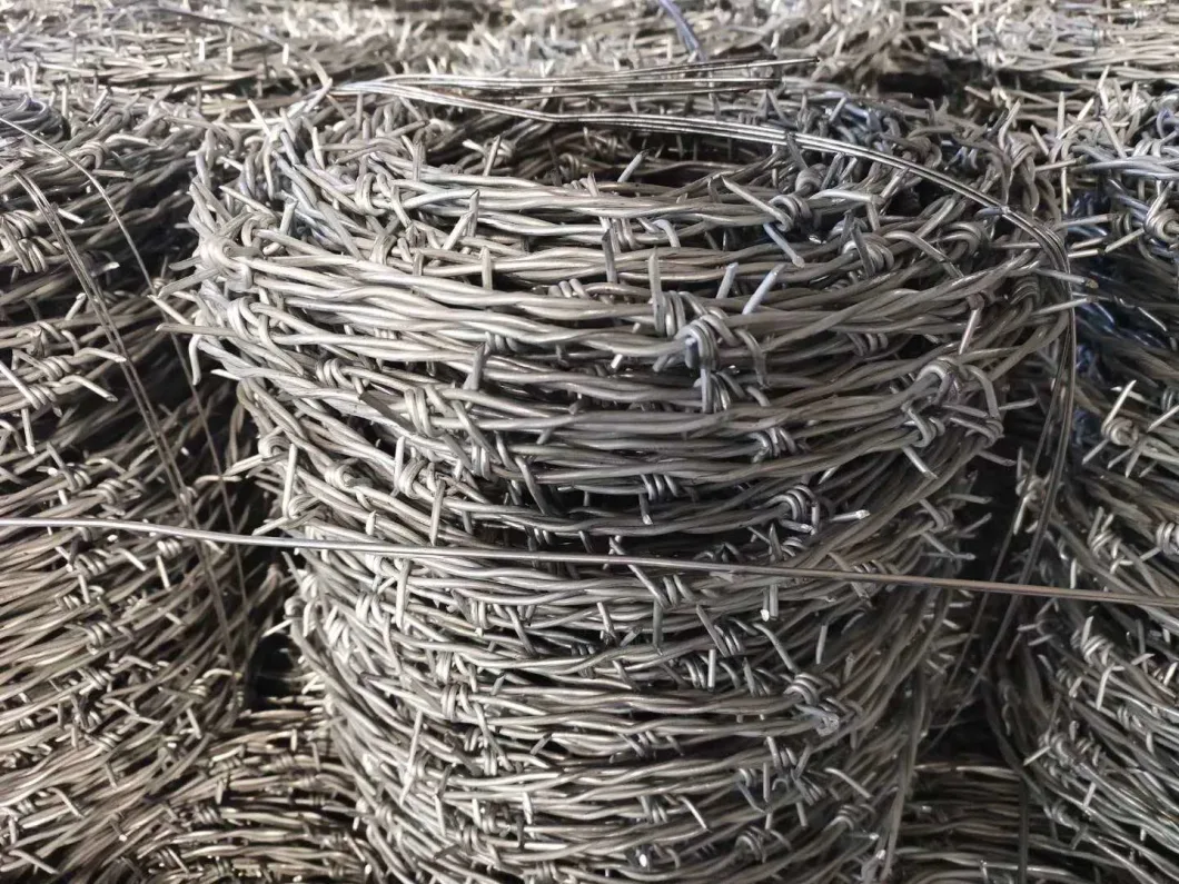 Hot DIP Galvanized/Electro Galvanized/PVC Coated Barbed Wire