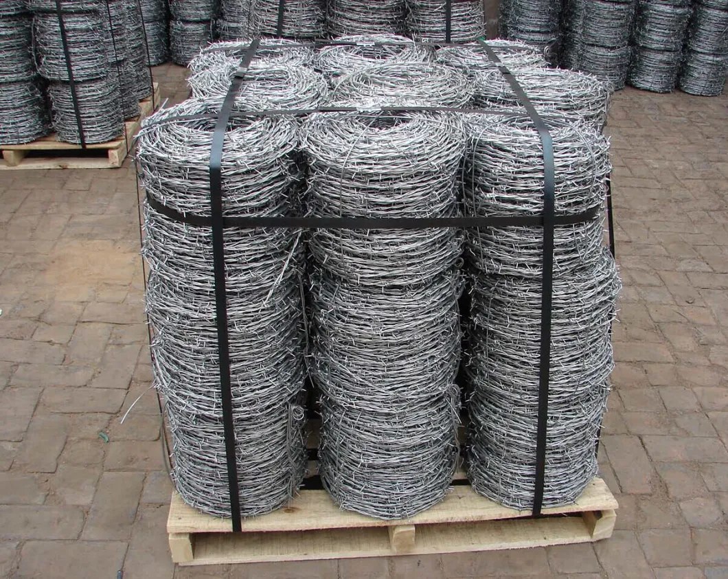 Galvanized Two Strand Barbed Wire/Double Twist Galvanized Barbed Wire