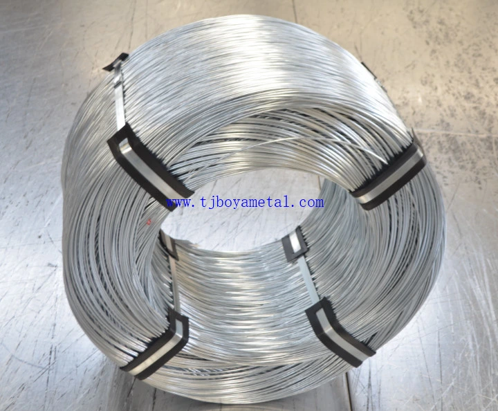 Factory Price Electrical Galvanized/Hot Dipped Galvanized Iron Binding Tie Wire for Building and Construction