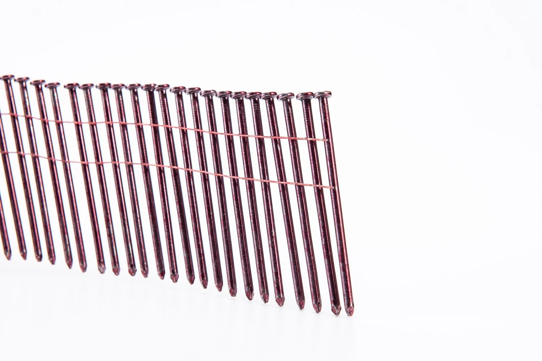Screw Ring Smooth Shank Coil Nails for Packaging Pallets
