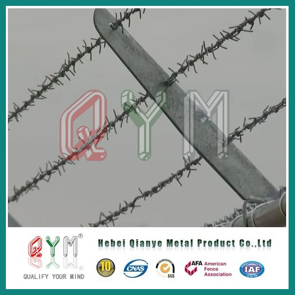Barb Wire Iron Fence Wire/Galvanized Barbed Wire/Barbed Wire Coil