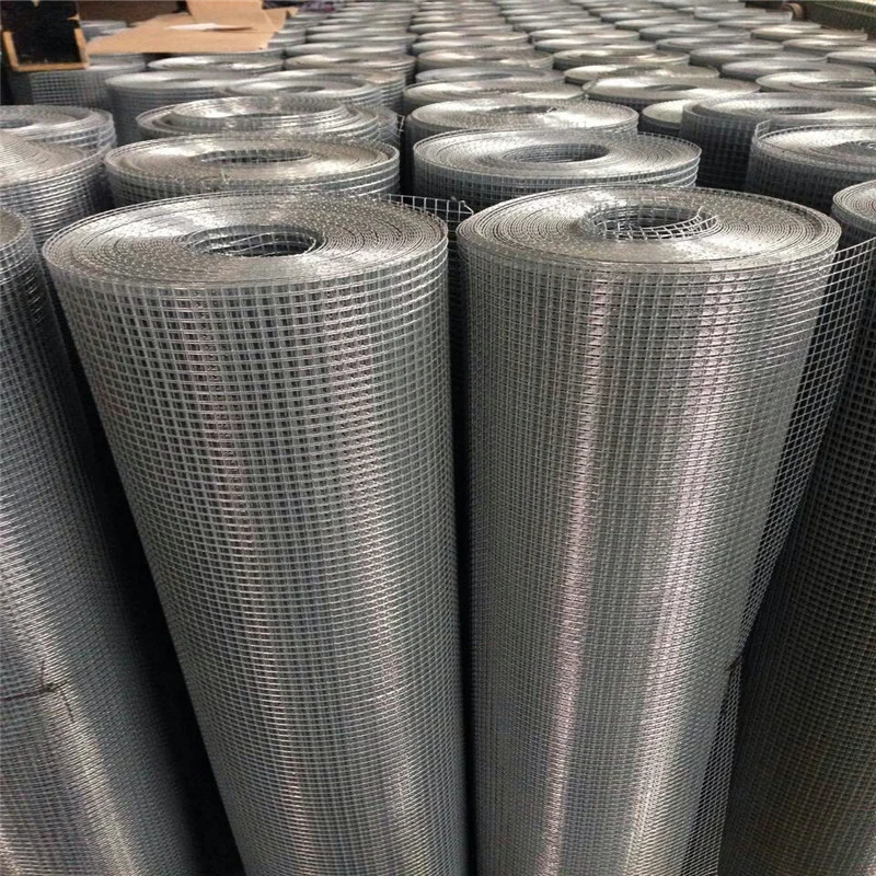 Hot Dipped Galvanized Hardware Cloth / Galvanized Welded Wire Mesh