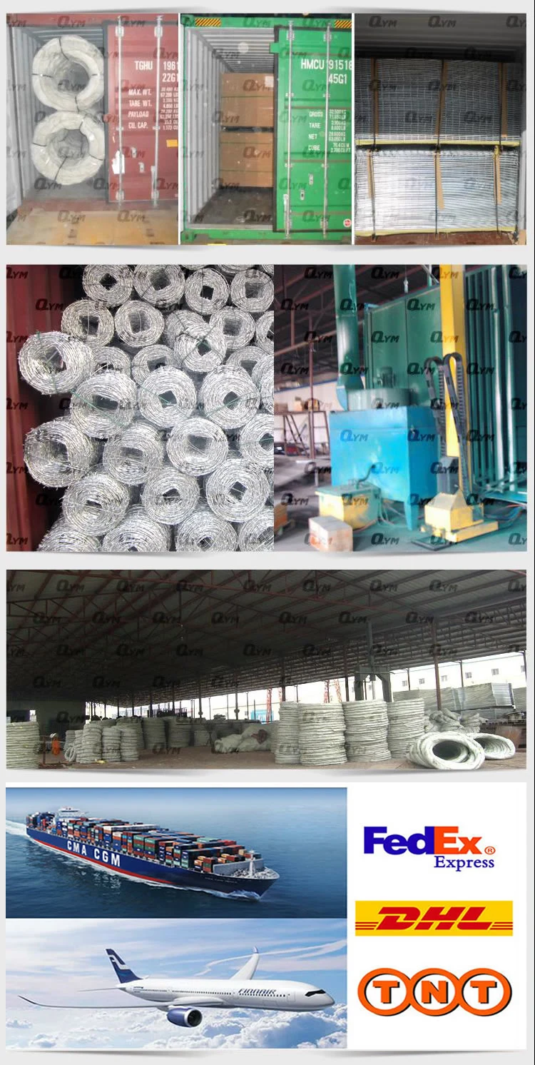 Iron Barbed Wire PVC Coated Barbed Wire Galvanized Barbed Wire