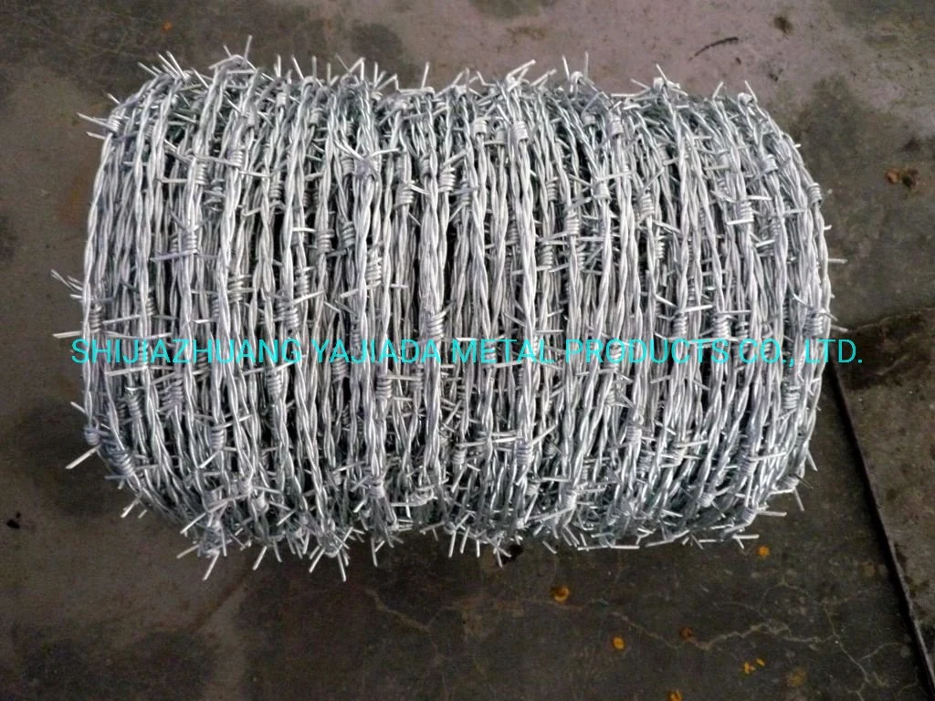 Factory Price 12X14 Galvanized Barbed Wire for Chain Link Fence