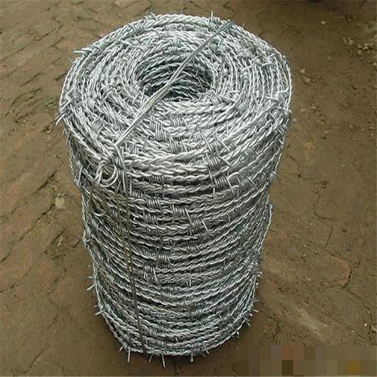 Galvanized Safety Barbed Wire/Galvanized Decorative Barbed Wire Fencing/Barbed Wire
