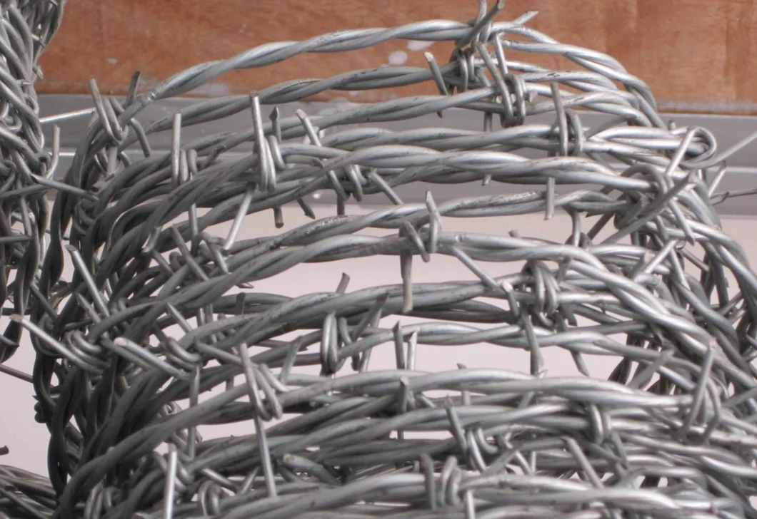 2.0mm-4.0mm Hot Dipped Galvanized Iron Wire for Barbed Wire
