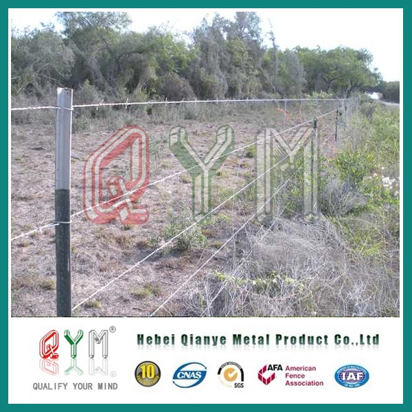 Galvanized Barbed Wire Fence Price Per Roll/ Barbed Wire Fence