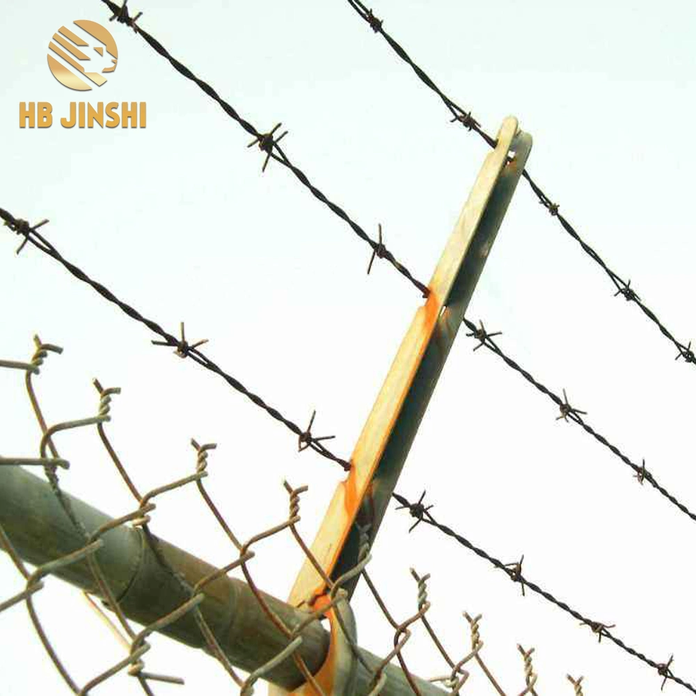 Concertina Razor Wire/Security Fence Barbed Wire