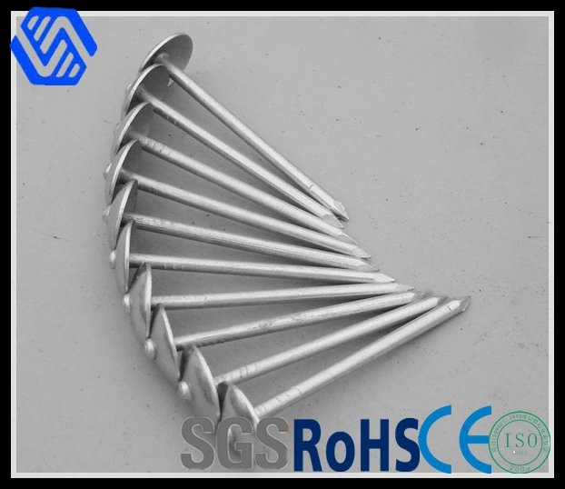 Twisted Shank Umbrella Head Hot-DIP Galvanizing Roofing Nails