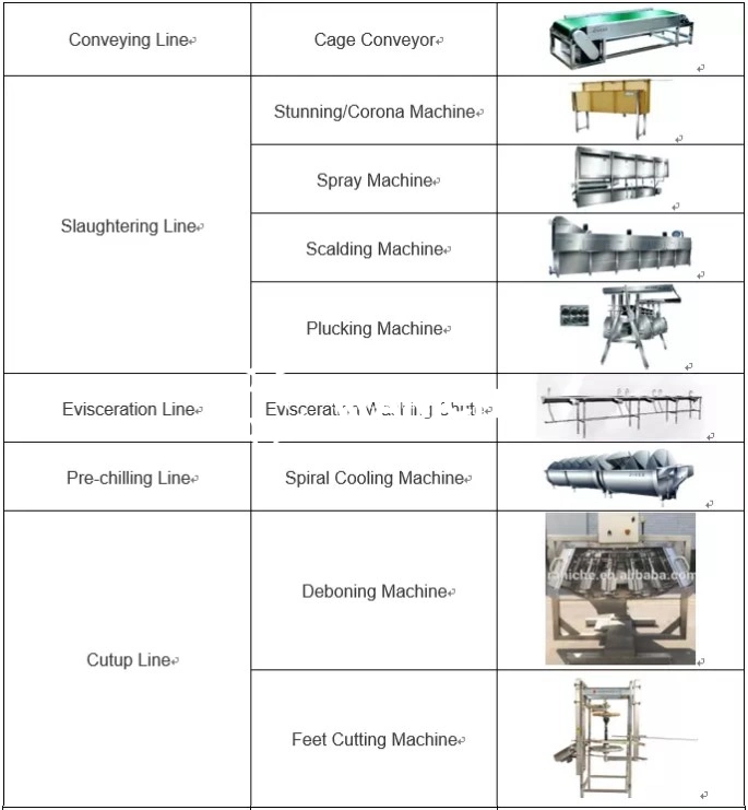 Poultry Slaughter Machine/Poultry Slaughter/Poultry Slaughter Line