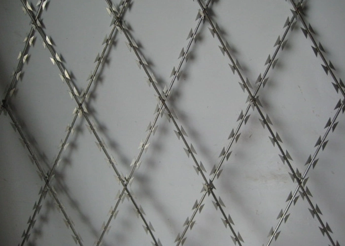 Razor Barbed Bto 22 Concertina Wire with 50cm Coil Diameter*10kg/Roll