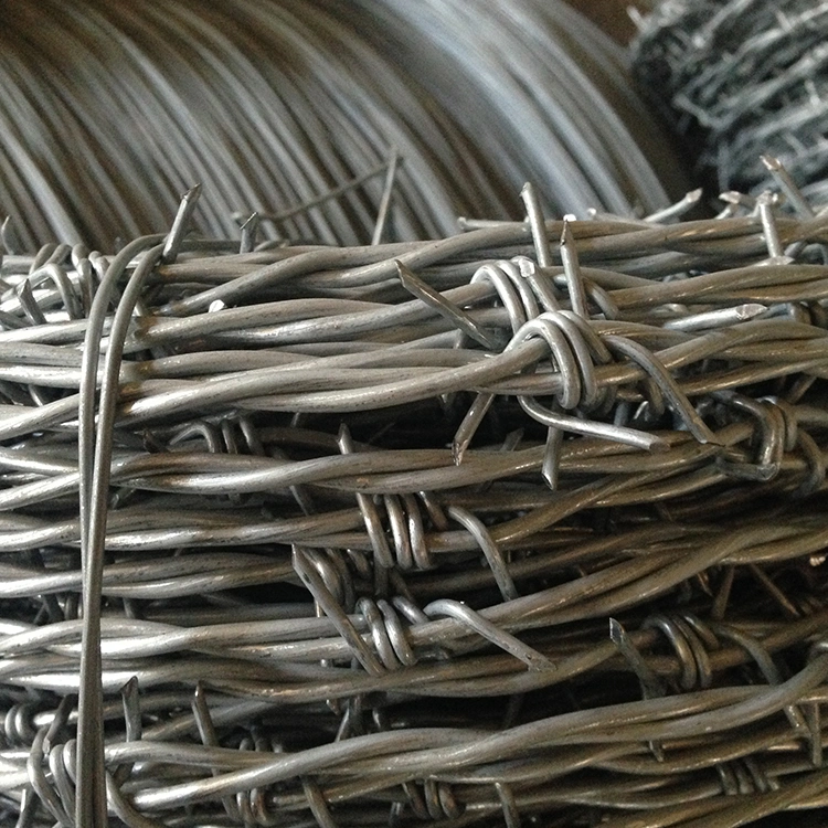 2.5mm *2.5mm H. D. G Double Twisted Barbed Wire for Fence