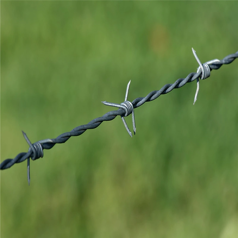 12/14/16 Hot Dipped Galvanized/Electro Galvanized Barbed Wire
