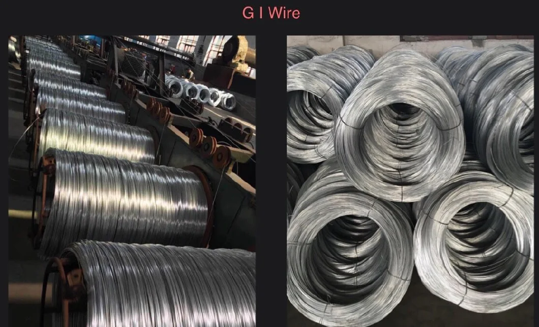 Bwg8-Bwg22 Galvanized Iron Wire with Best Price/Electro Binding Wire in Rolls