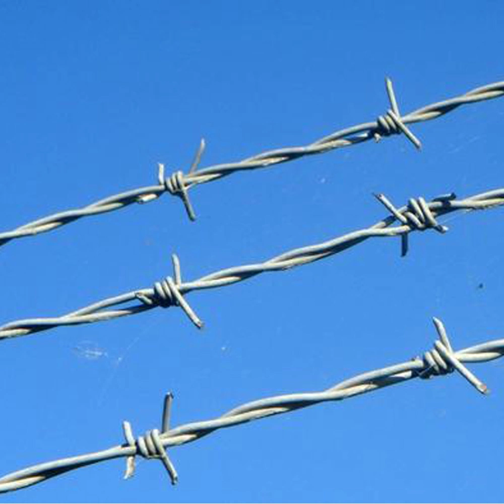 1.8mm Hot Dipped Galvanized Fencing Double Twisted Barbed Wire