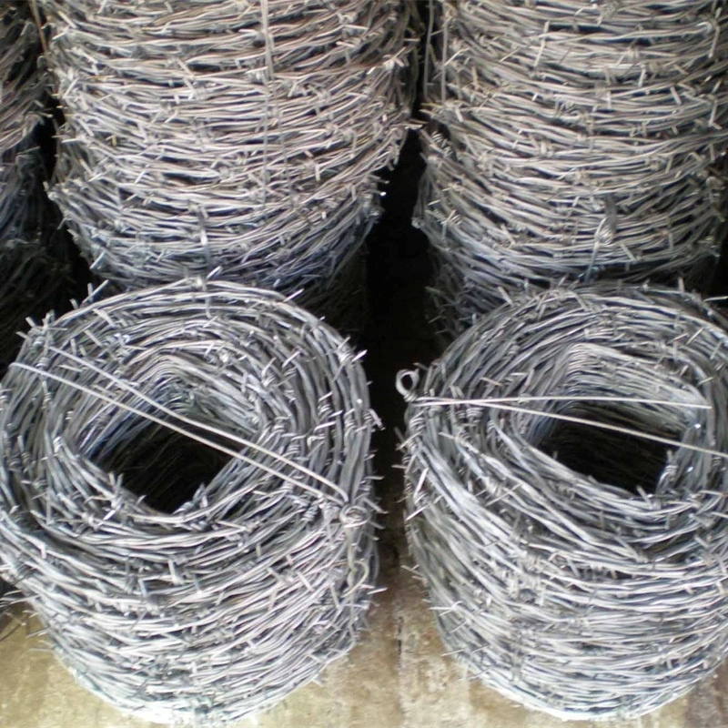 Galvanized Barbed Wire/PVC Coated Barbed Wire/Razor Wire