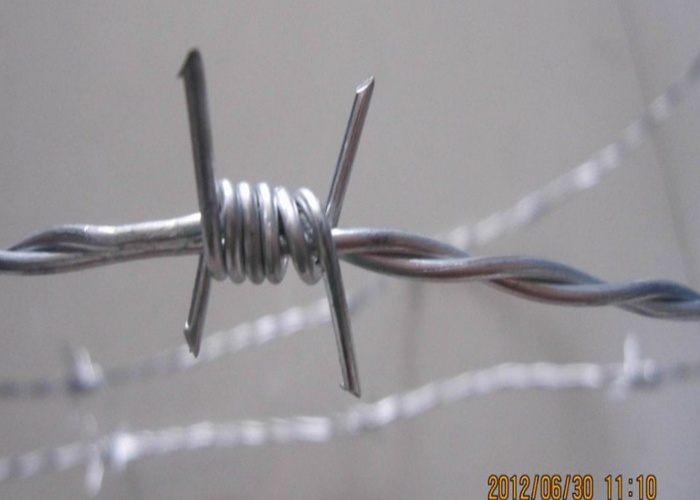 Bwg 22 Galvanize Steel Iron Wire*10kg/Galvanized Steel Iron Wire Factory in China