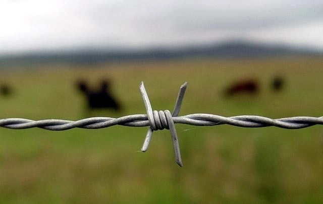 Hot Dipped Galvanized/Electro Galvanized Barbed Wire for Security Fence