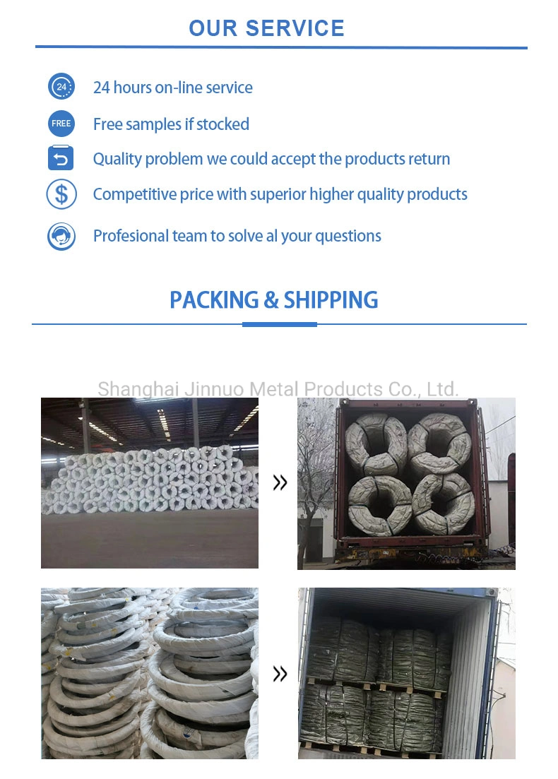 Galvanized Iron Wire/Stainless Steel Wire for Binging Metal Wire