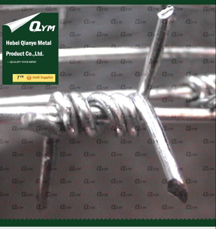 Double Twisted Galvanized Barbed Iron Wire for Fence