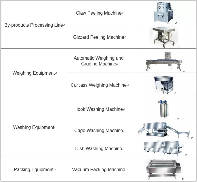 Poultry Slaughter Machine/Poultry Slaughter/Poultry Slaughter Line