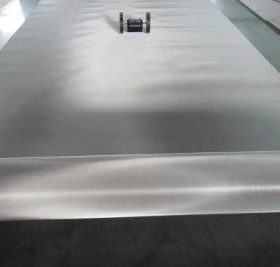Plain/Twill / Dutch Woven /Wire Cloth/Wire Net/Woven /Stainless Steel Wire Mesh