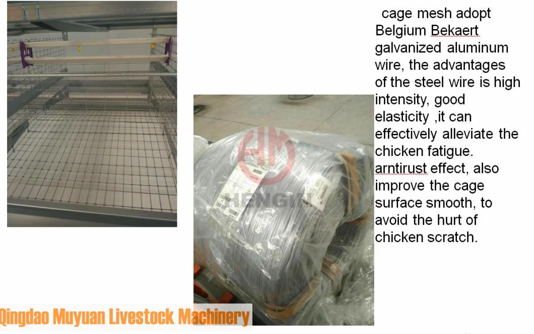 Galvanized Net 4-Tiers Layer Chicken Cage Poultry Raising Breeding