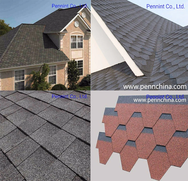 Asphalt Roofing Shingles Colorful Roofing Covers Waterproof Solutions Building Materials