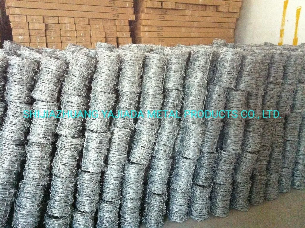 Factory Price 12X14 Galvanized Barbed Wire for Chain Link Fence