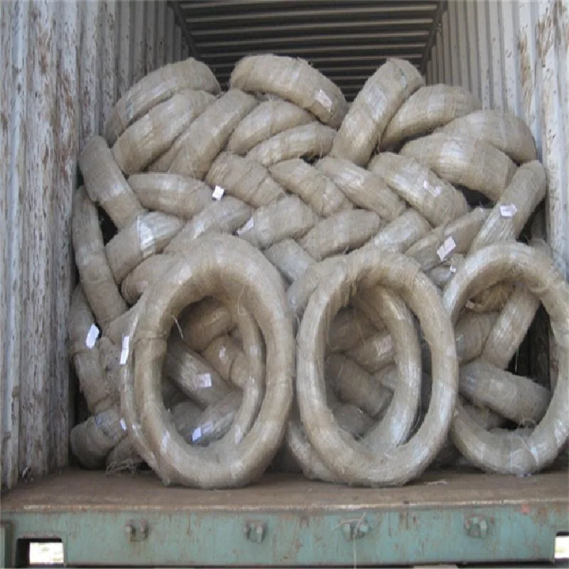 PVC Coated Galvanized Binding Wire/ Hot Dipped Galvanized Iron Wire