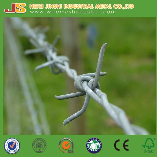 Security Wire Double Wire Trwisted Barbed Wire