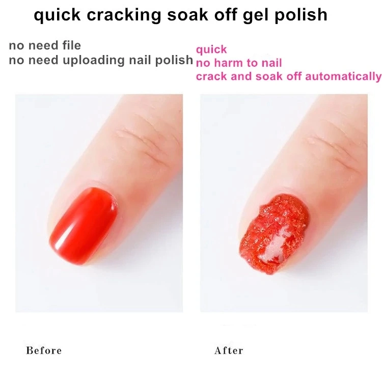 Prefessional Private Logo Manicure UV Gel Nail Polish False Nails Printer Supplier