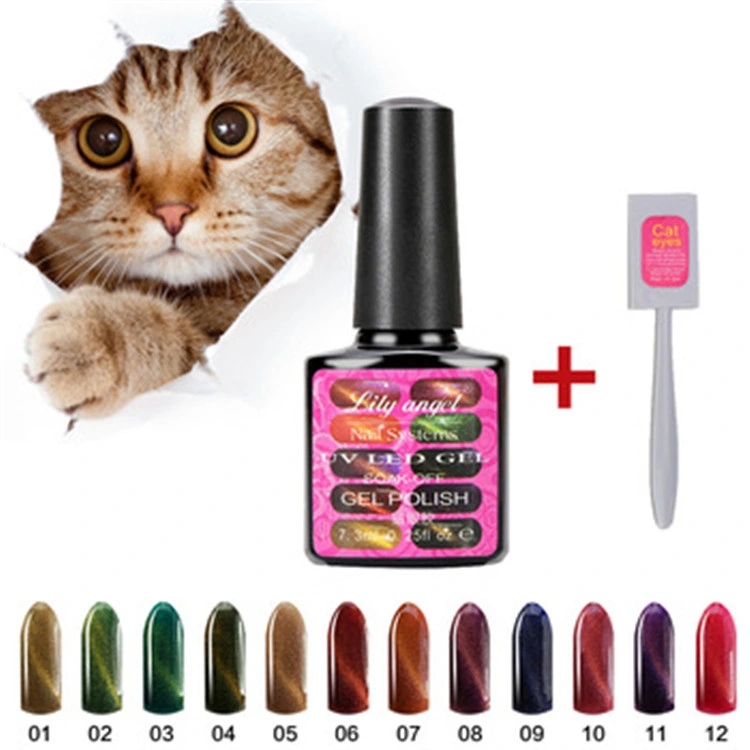 OEM Free Charms Magic Cat Eyes Color Nail Gel Polish