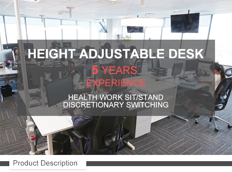 Modern Electric Height Adjustable Desk Office Furniture Desk