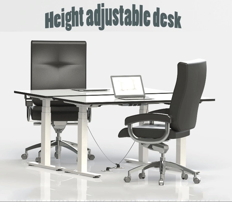 Customized Ergonomic Office Standing Desk Riser Student Desk
