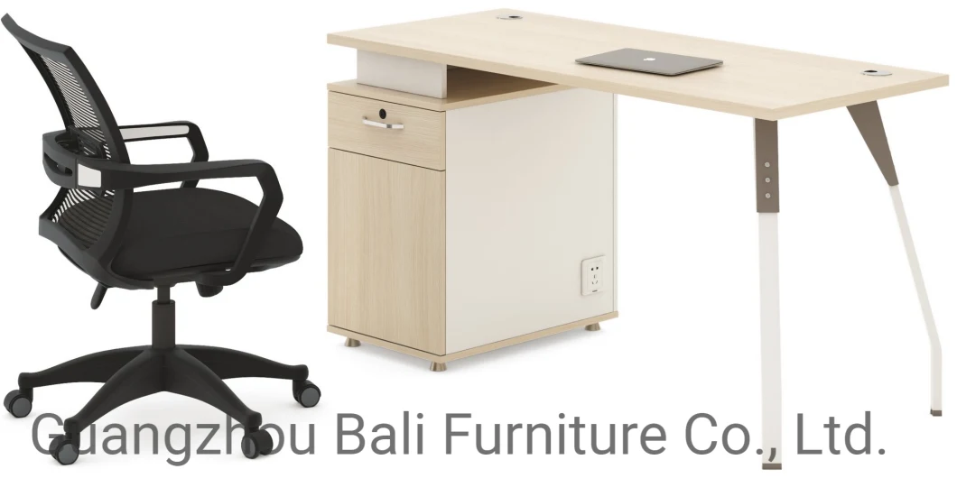 Chinese Modern Design Furniture Laptop Computer Desk Steel Legs Office Table (BL-ET087)